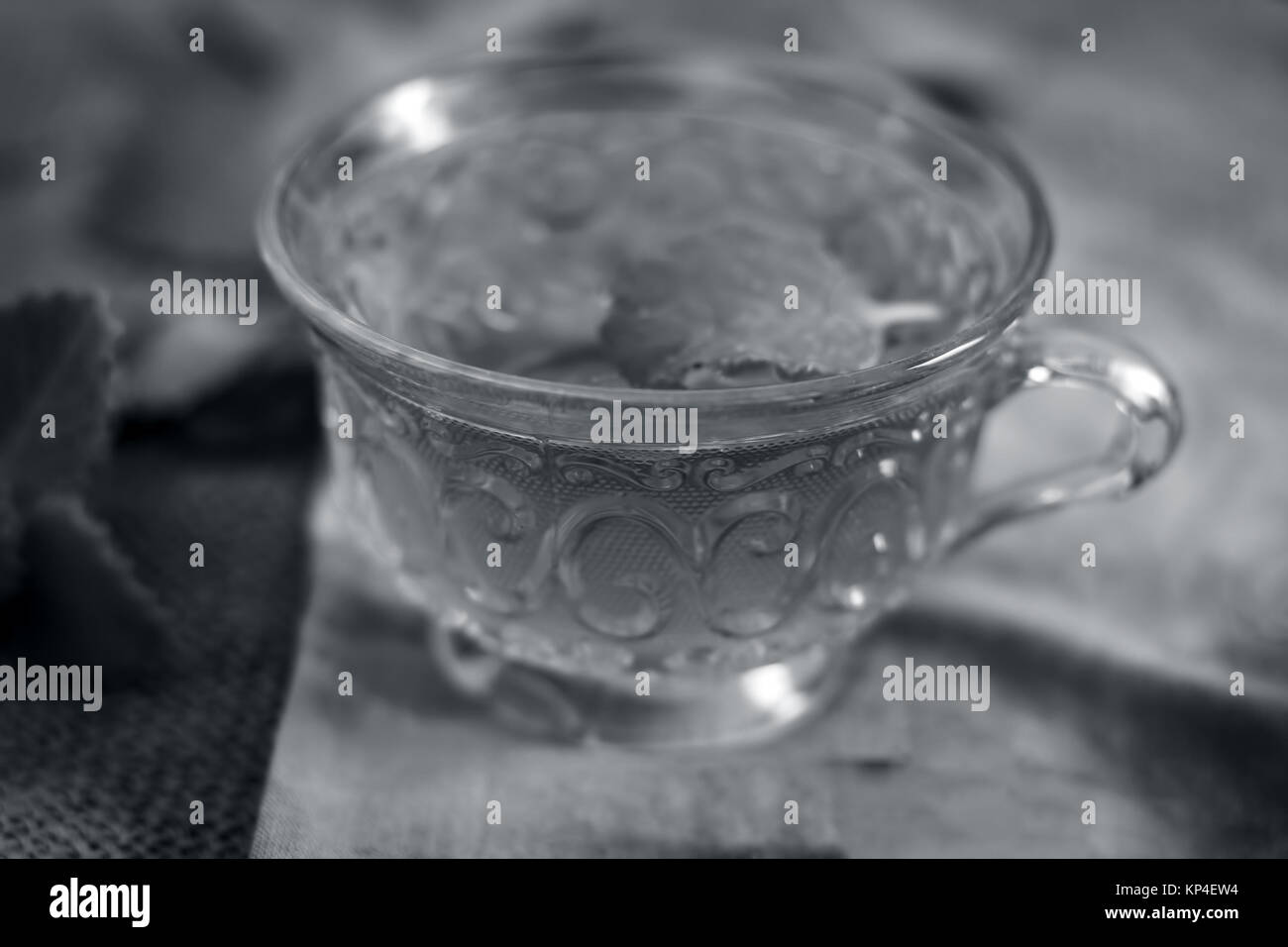 Tea of Ajwain,Trachyspermum ammi Stock Photo Alamy