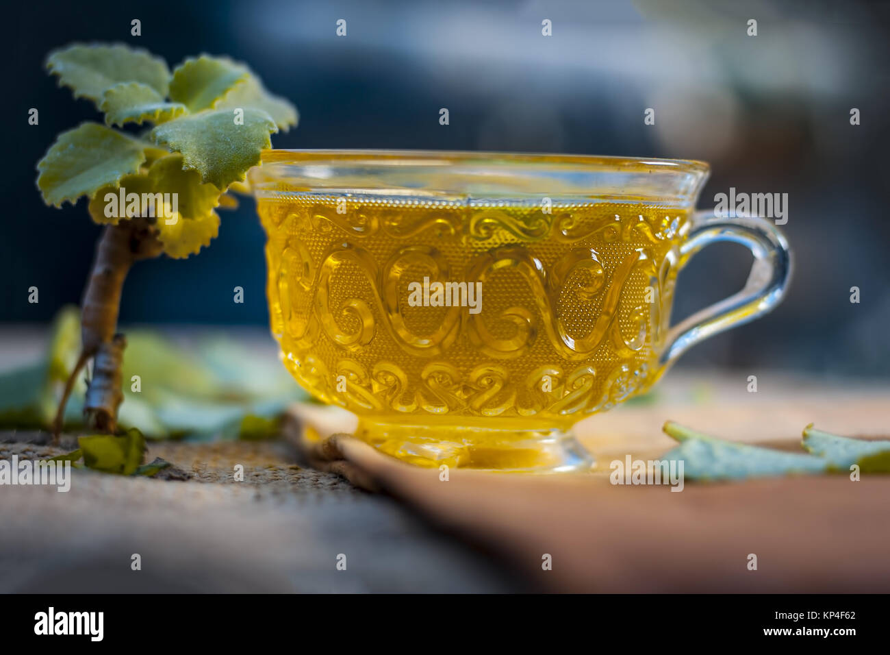 Tea of Ajwain,Trachyspermum ammi Stock Photo Alamy