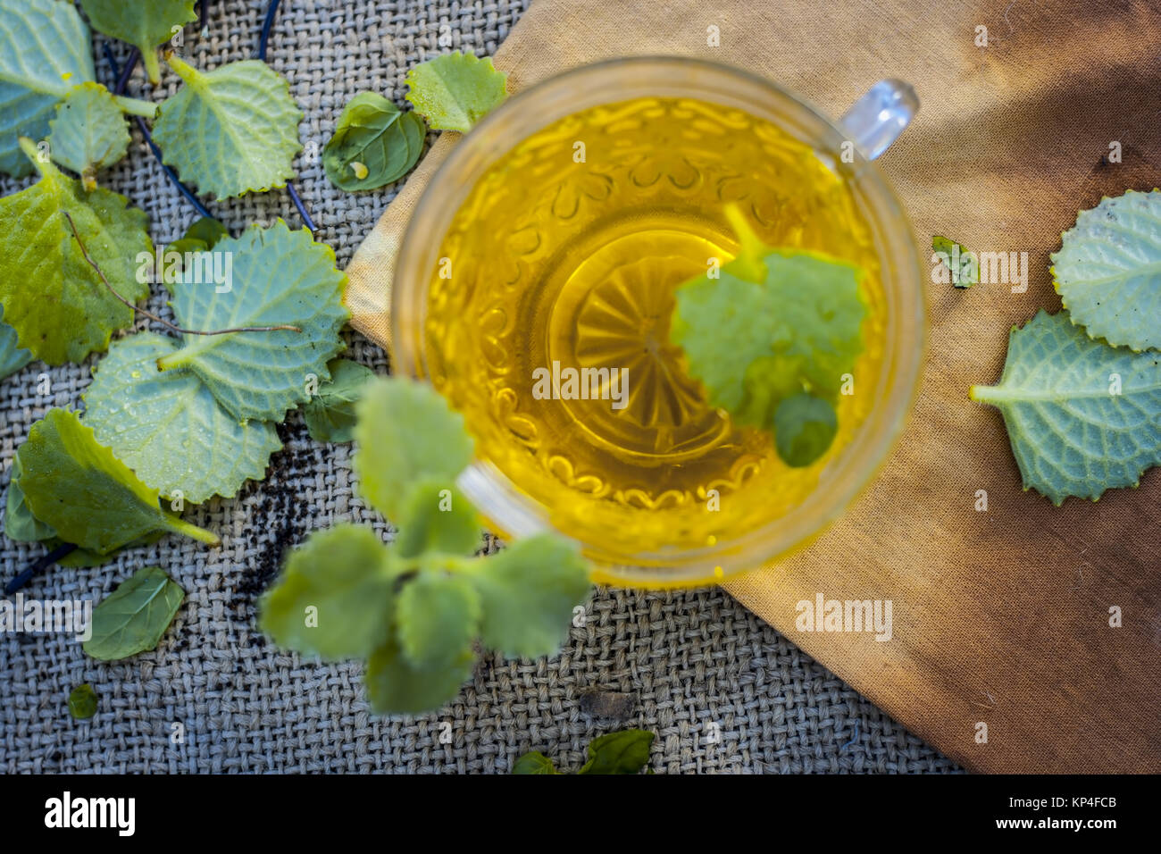 Tea of Ajwain,Trachyspermum ammi Stock Photo Alamy