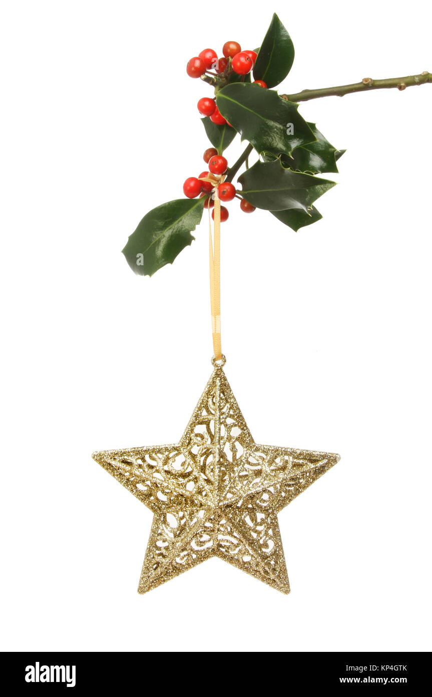 Gold glitter Christmas star hanging from a holly branch against a white ...