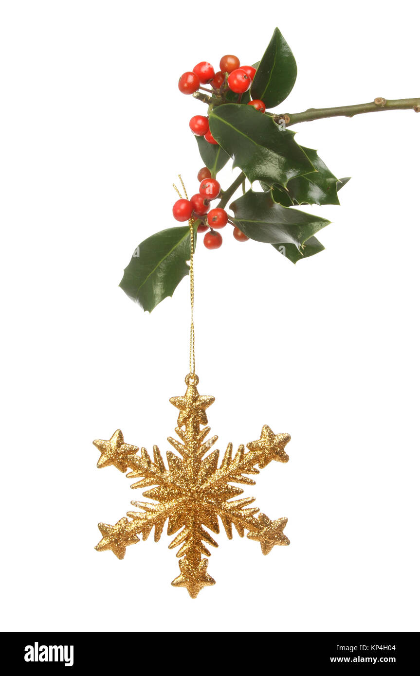 Snowflake star Christmas decoration hanging from a holly branch Stock ...