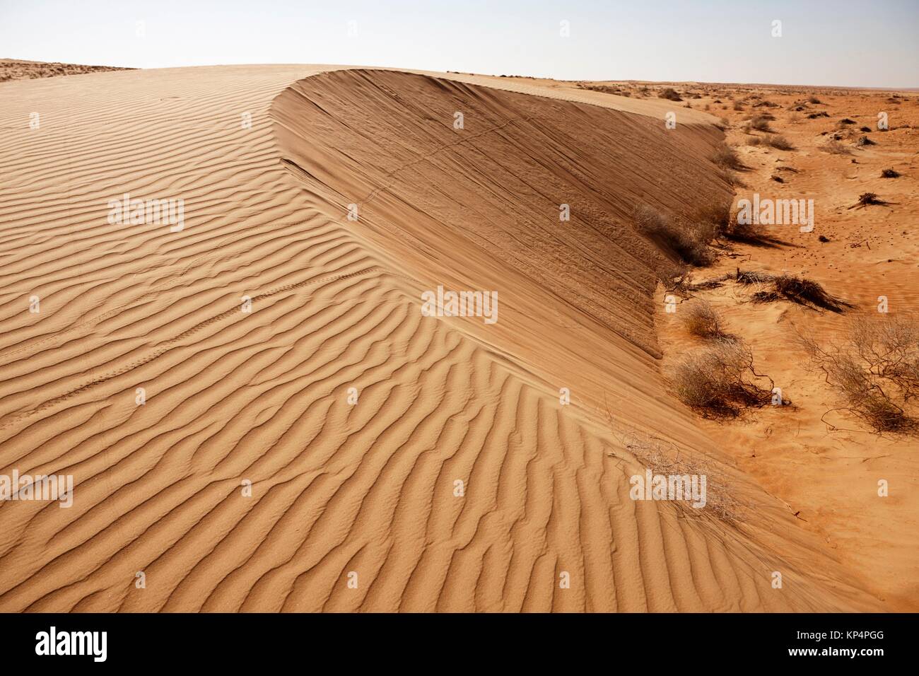 Wahiba Sands, Sultanate of Oman. Stock Photo