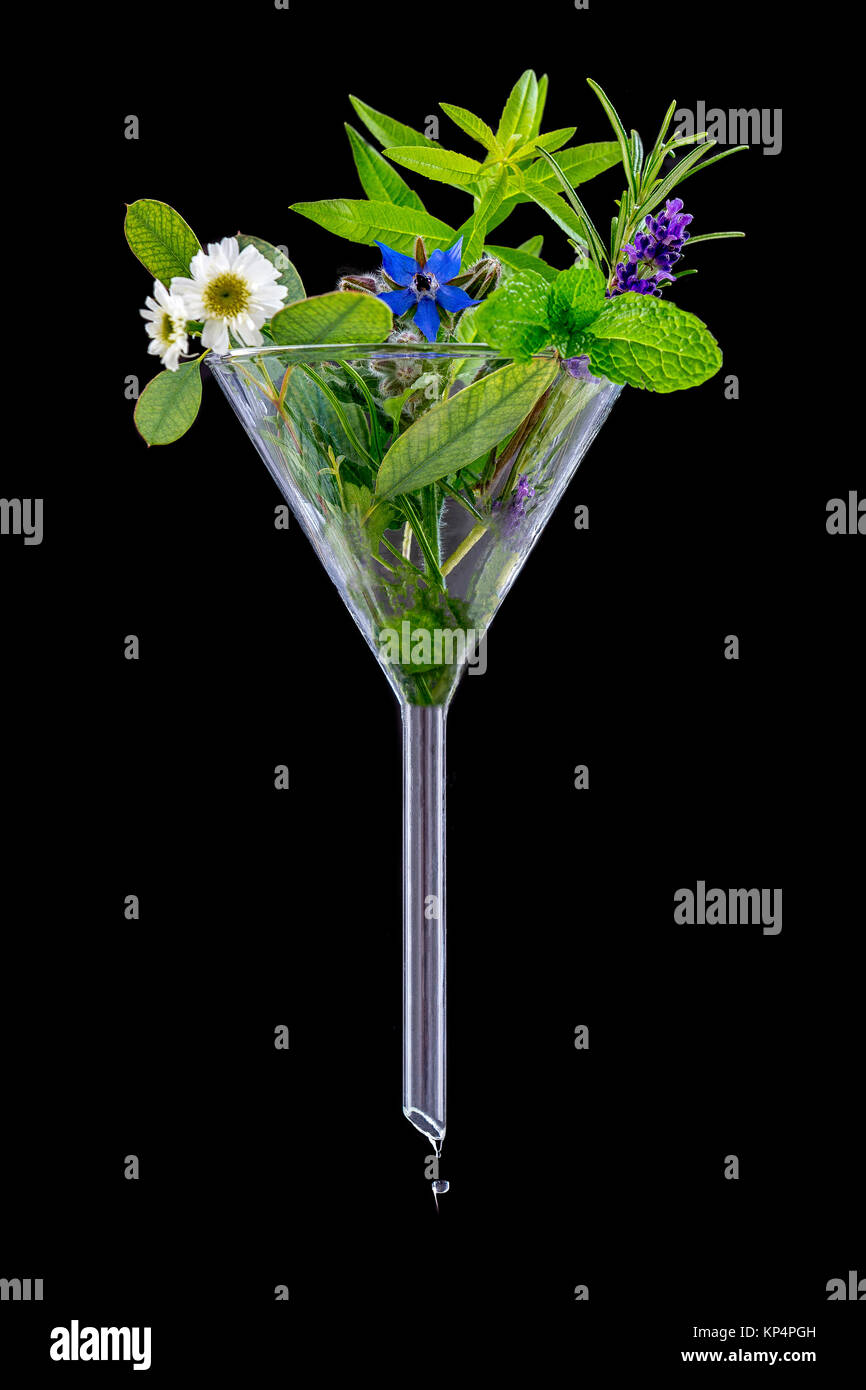 Concept herbal medicine hires stock photography and images Alamy