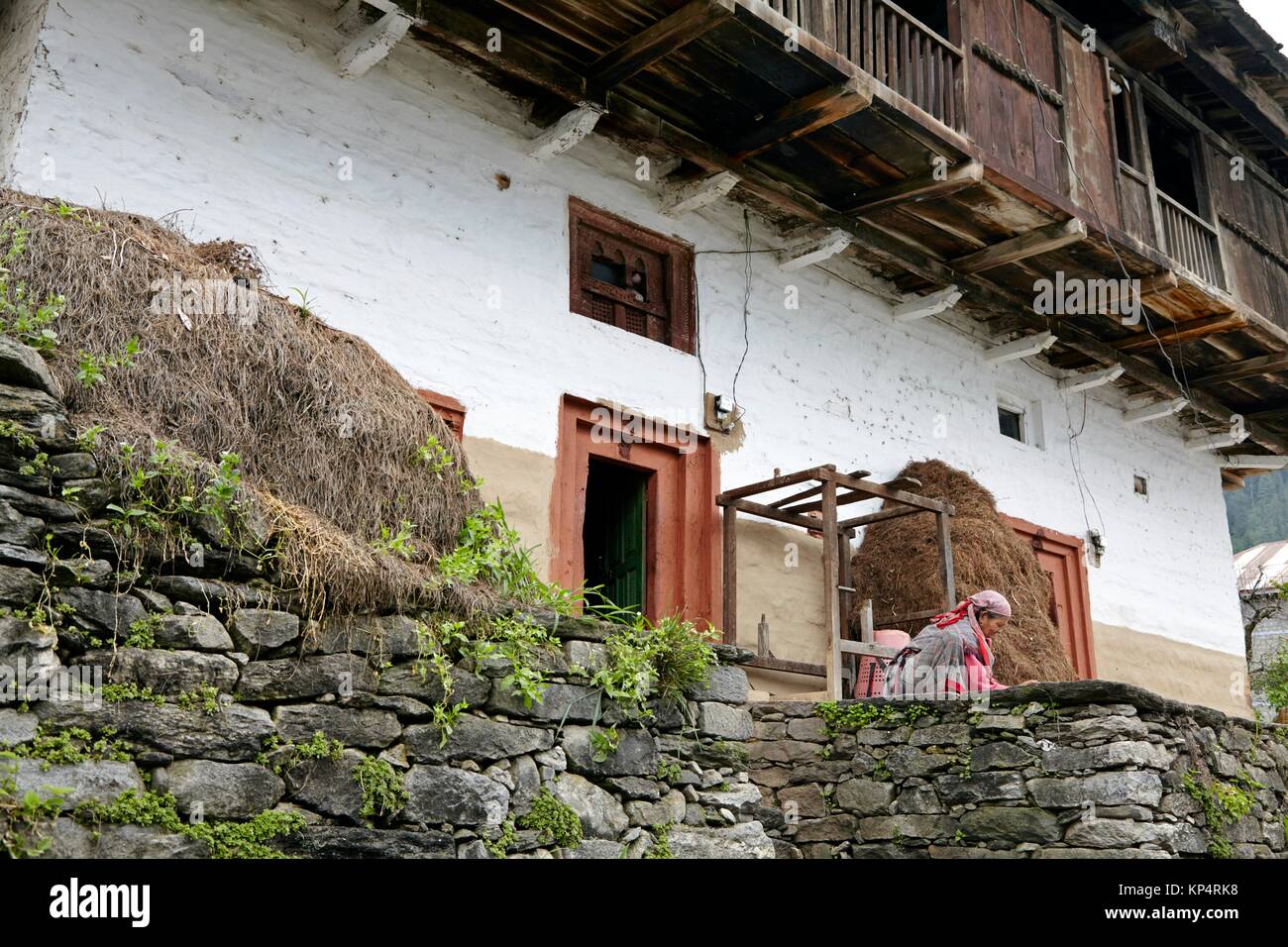 Yagatsukh village, Kullu Valley, Yagatsukh, Himachal Pradesh, India. Stock Photo