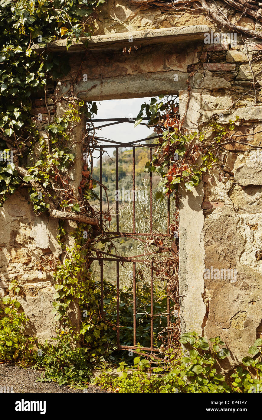 Beautiful view, through the old gate Stock Photo