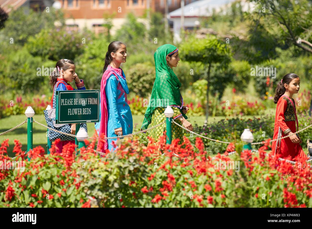 Nishat Mughal Gardens, Srinagar, Jammu and Kasmir, India. Stock Photo