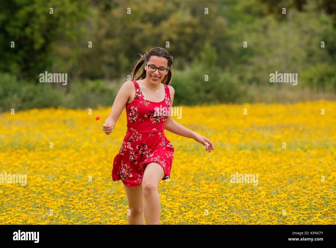 Girl with a red dress running in a yellow field Stock Photo Alamy