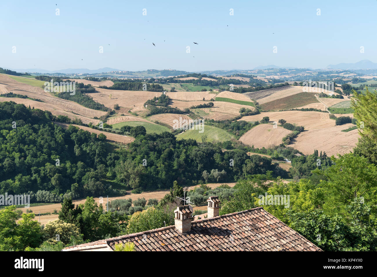 landscape in Marche country based in italy Stock Photo