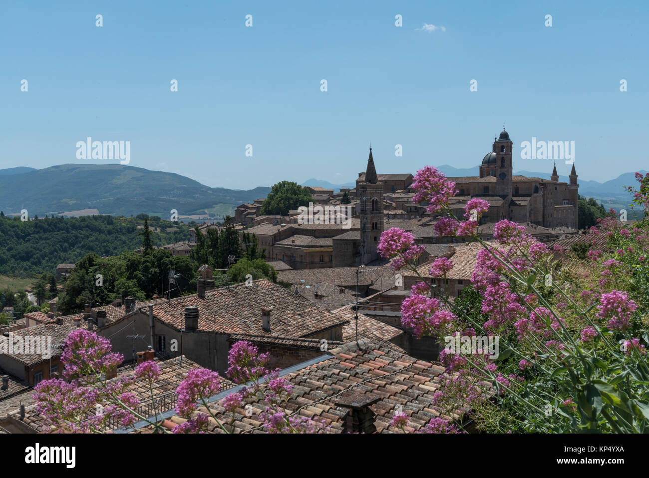 landscape in Marche country based in italy Stock Photo