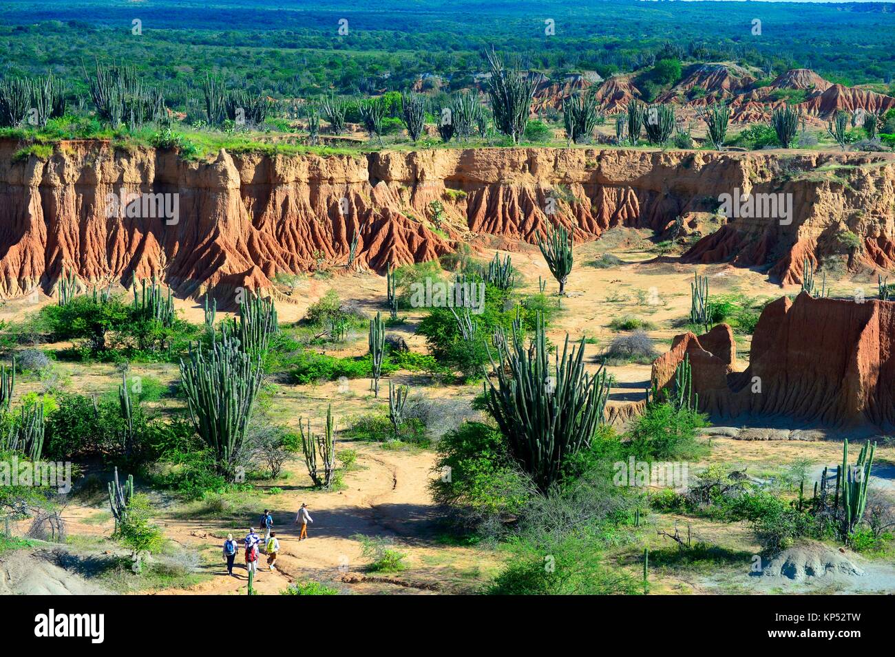 Red hills of Tatacoa Desert in Huila, Colombia, South America Stock