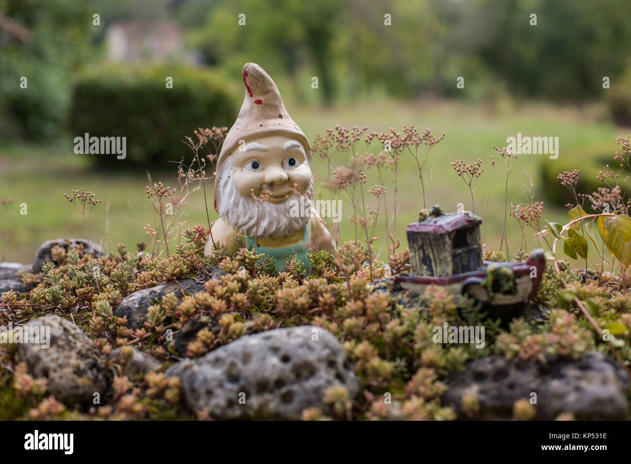 Garden gnome. Stock Photo
