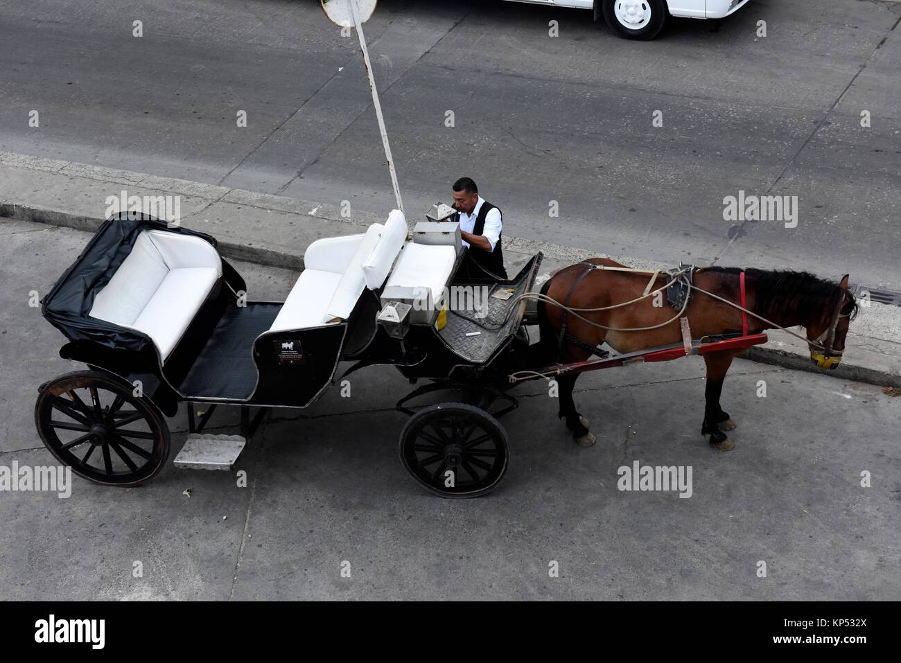 Horse drawn carriage, old town, Cartagena, Colombia. Stock Photo
