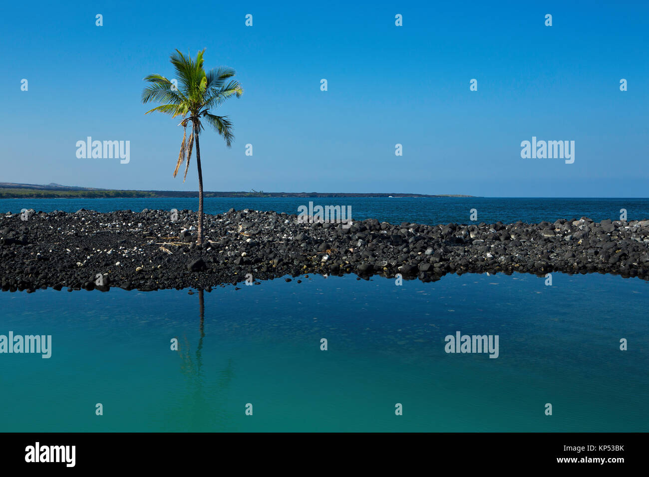 An idyllic scene of a lagoon and the Pacific with one palm in the breeze. Big Island, Hawaii, USA Stock Photo