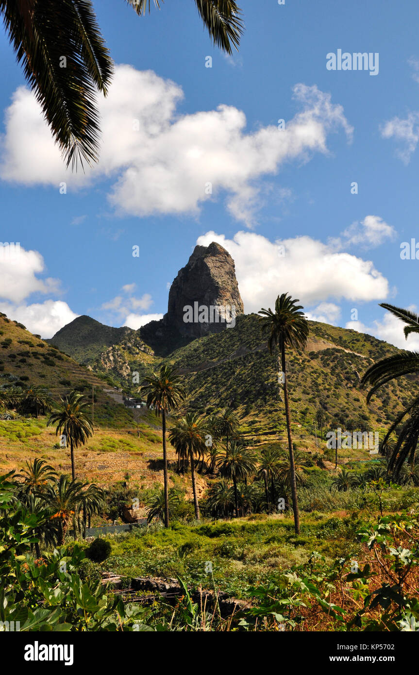 landscape and vegetation on volcanic island la gomera,spain Stock Photo