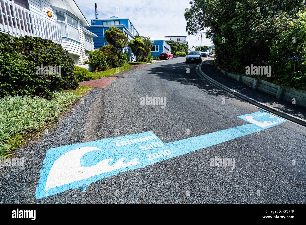Tsunami zone wellington