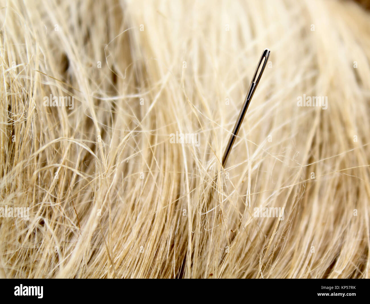 Needle in a haystack Stock Photo Alamy