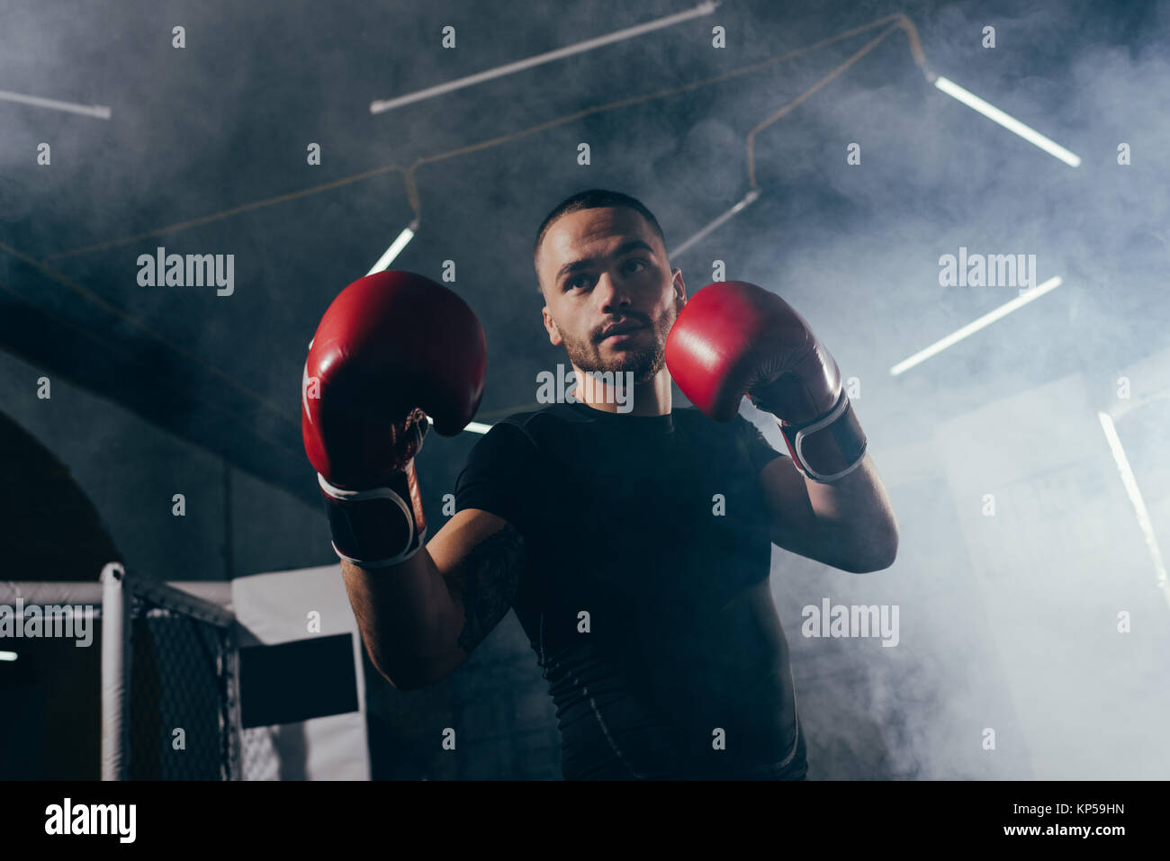 muscular sportsman in boxing gloves Stock Photo Alamy