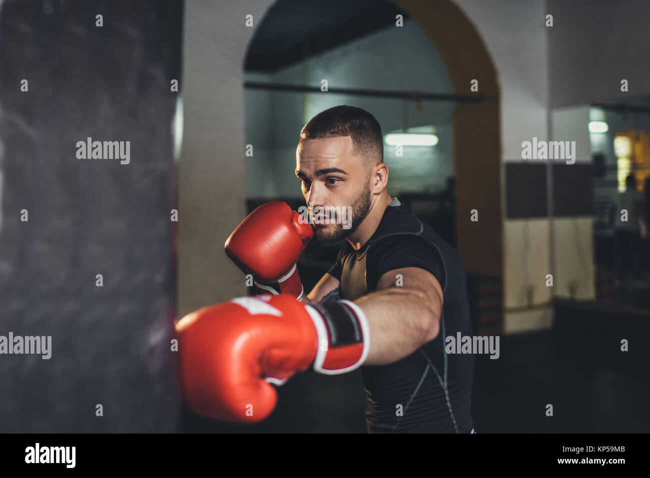 boxer training with punching bag Stock Photo - Alamy