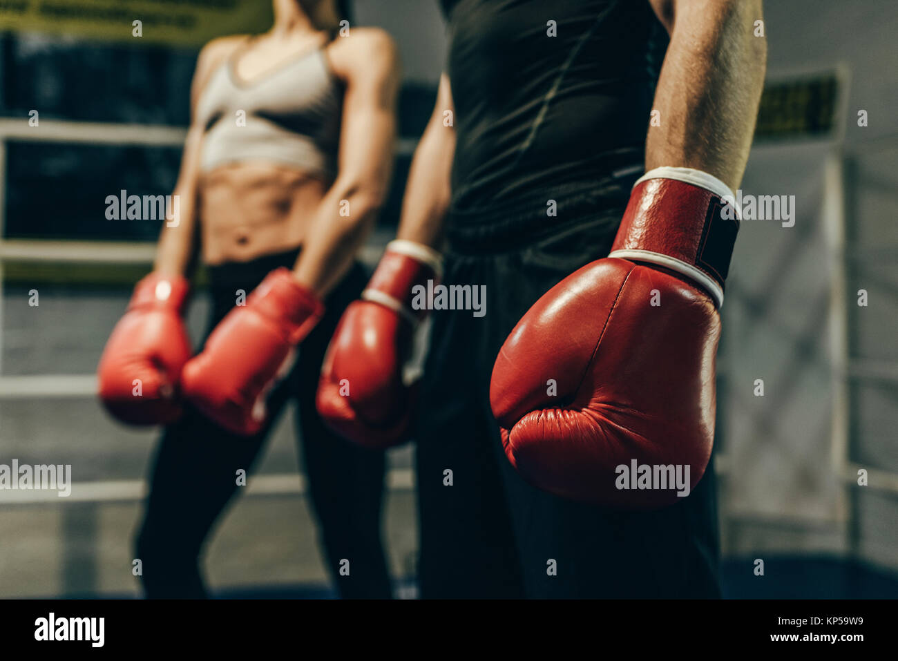 boxers in boxing gloves Stock Photo Alamy