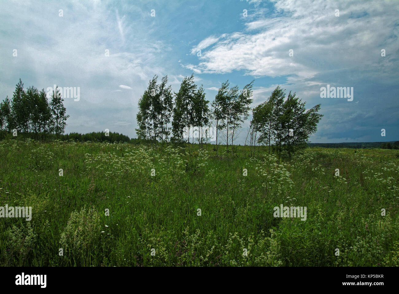 stormy sky in the summer in rural Russia Stock Photo - Alamy