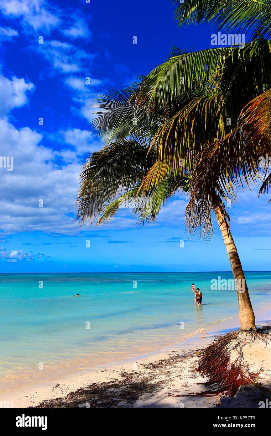 The beach of Cayo Jutias, Cuba. Stock Photo