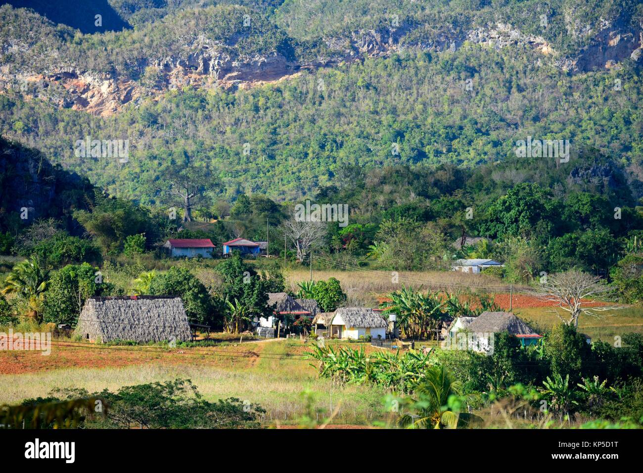 Landscape of Vinales, Pinar del Rio, Cuba. Stock Photo