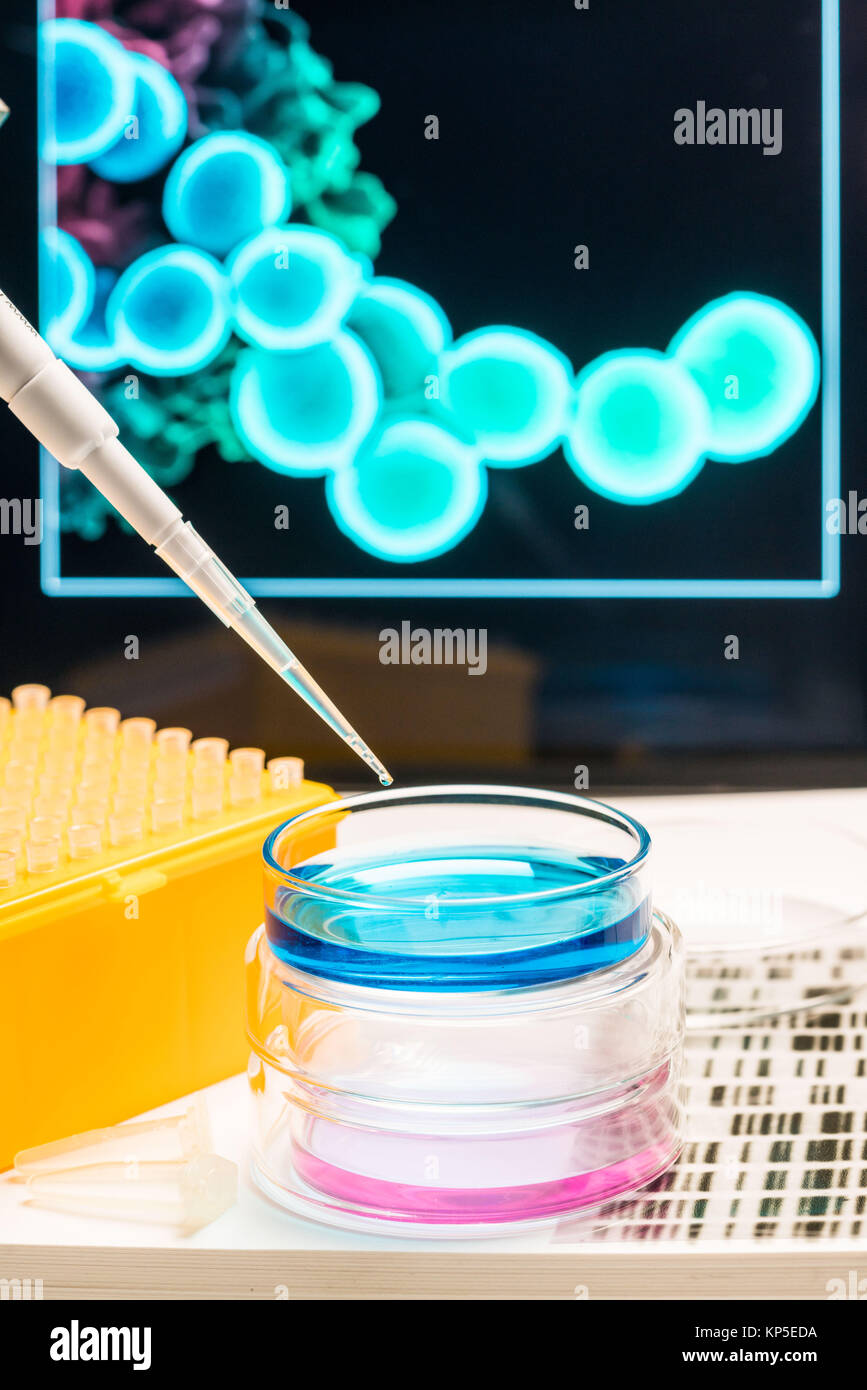 Illustration of research in bacteriology ( resistance against a certain antibiotic substance ). Stock Photo