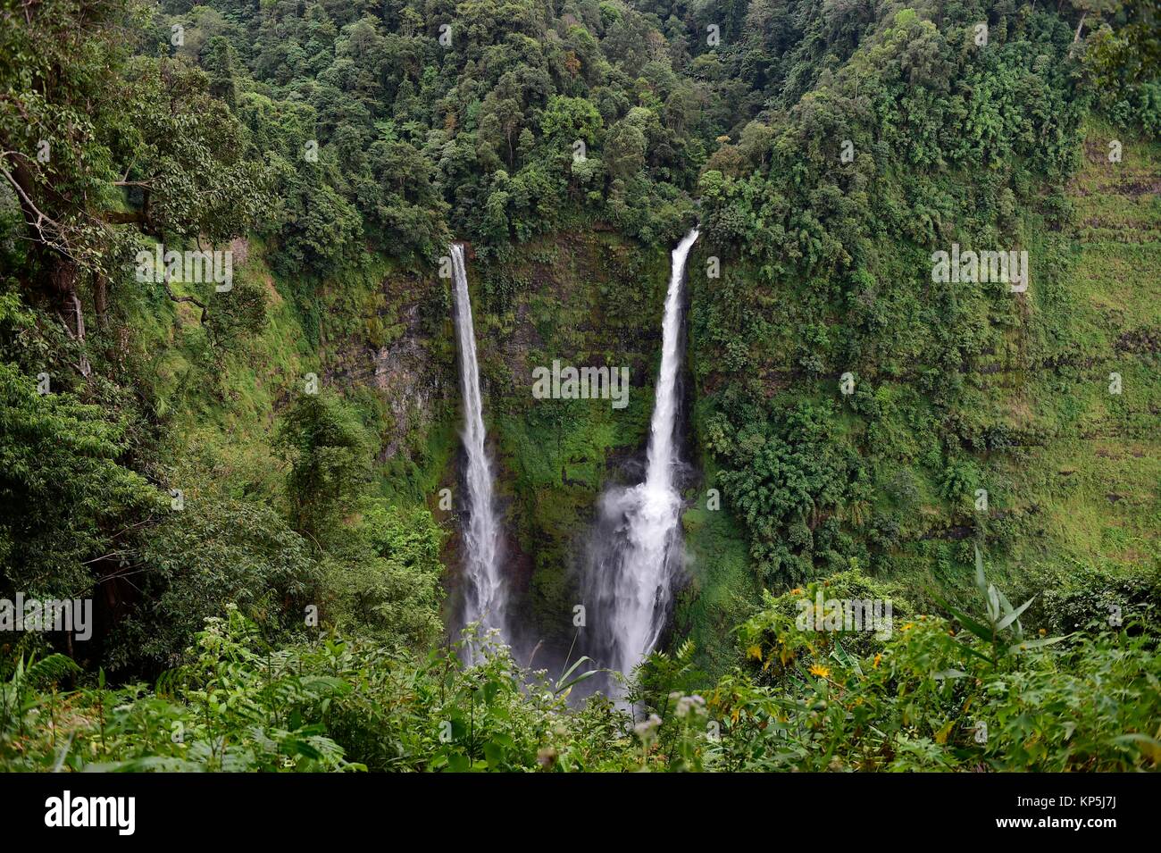 Tad Fane waterfall,Bolaven Plateau,Pakse,Laos,Southeast Asia Stock Photo -  Alamy