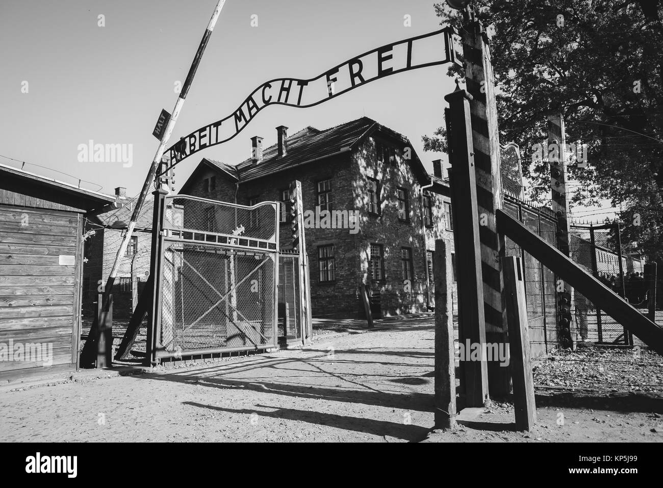 Auschwitz Stock Photo