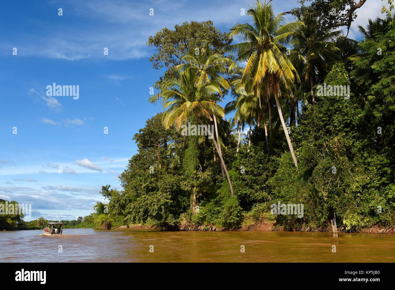 Done Det island in the four thousand islands area,Si Phan Don,of the Mekong river,South Laos,Southeast Asia. Stock Photo