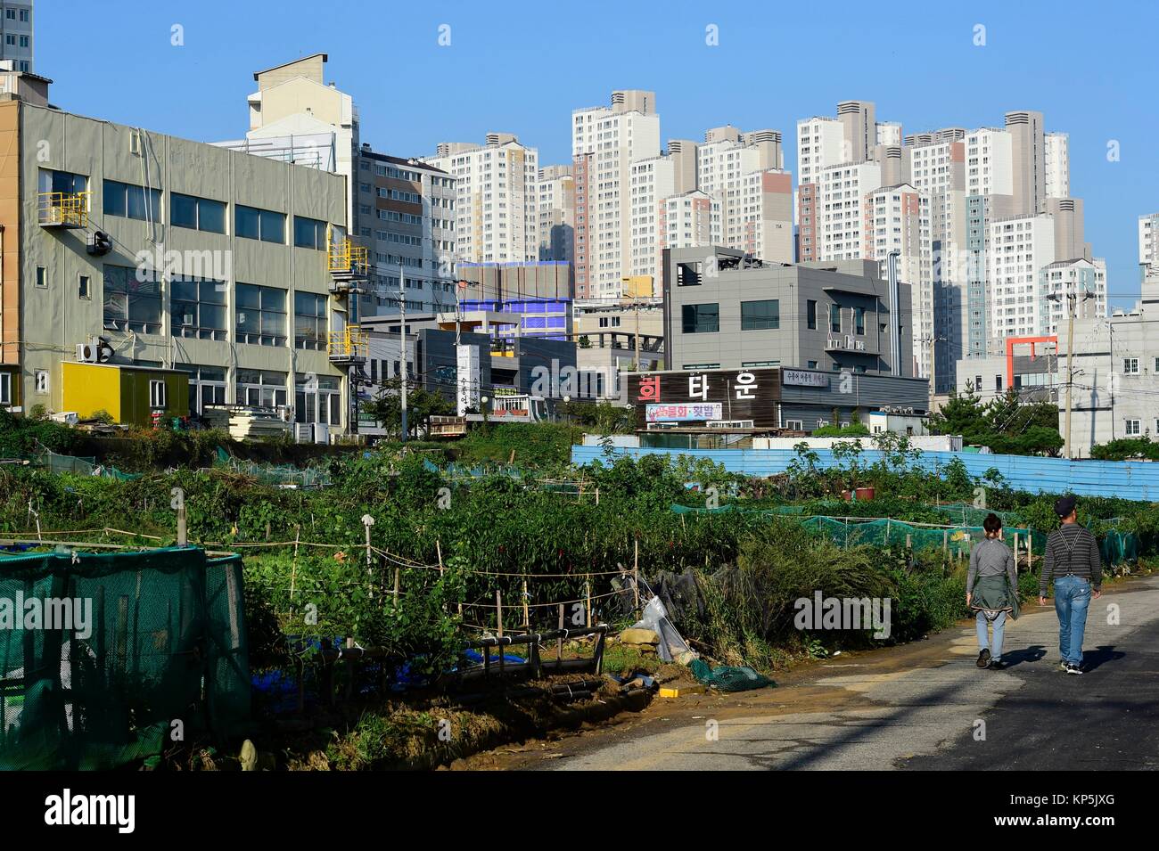 Garden in Ulsan,South Korea Stock Photo Alamy