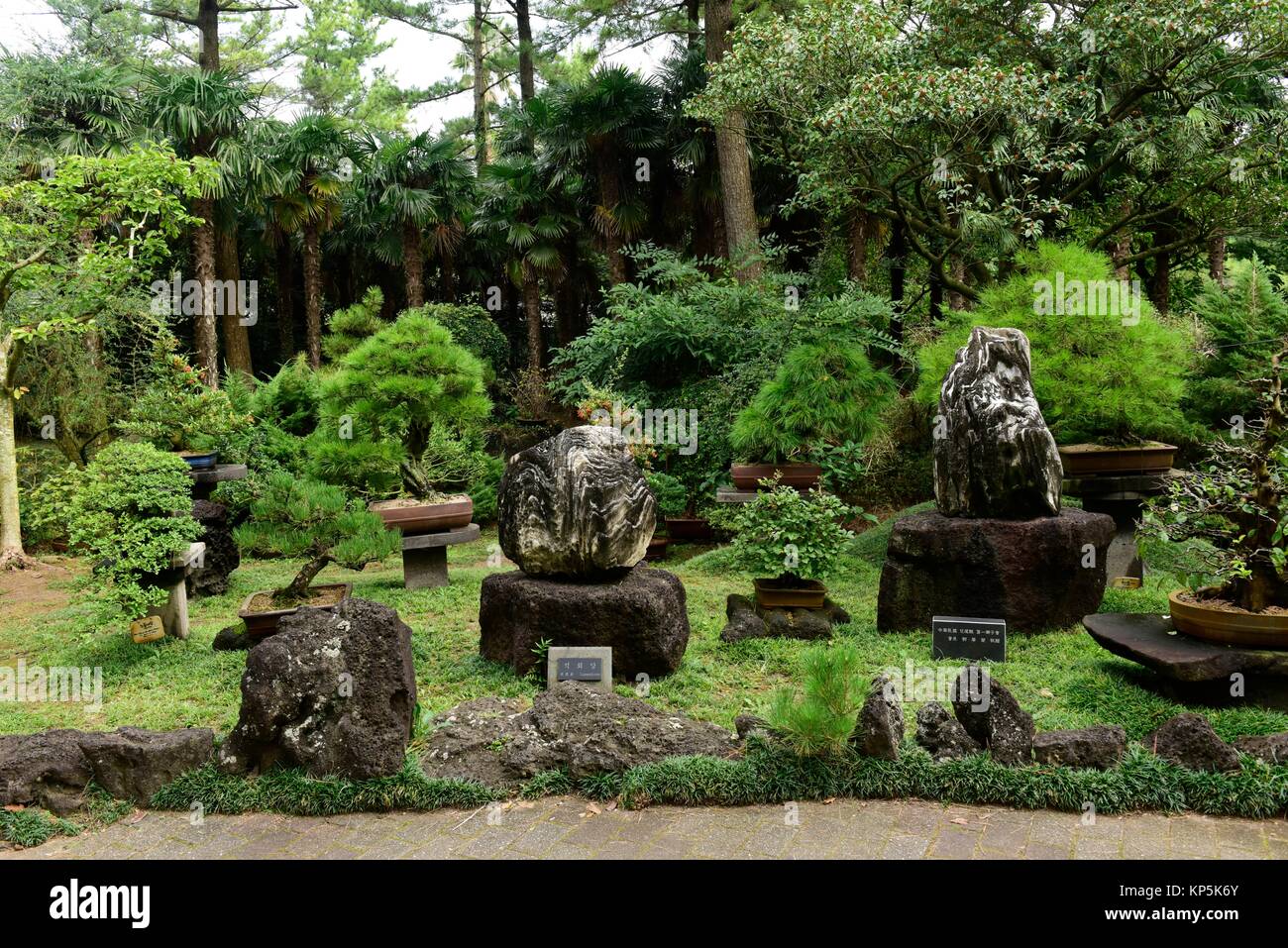 Yeomiji Botanical Garden,Jeju Island,South Korea Stock Photo Alamy