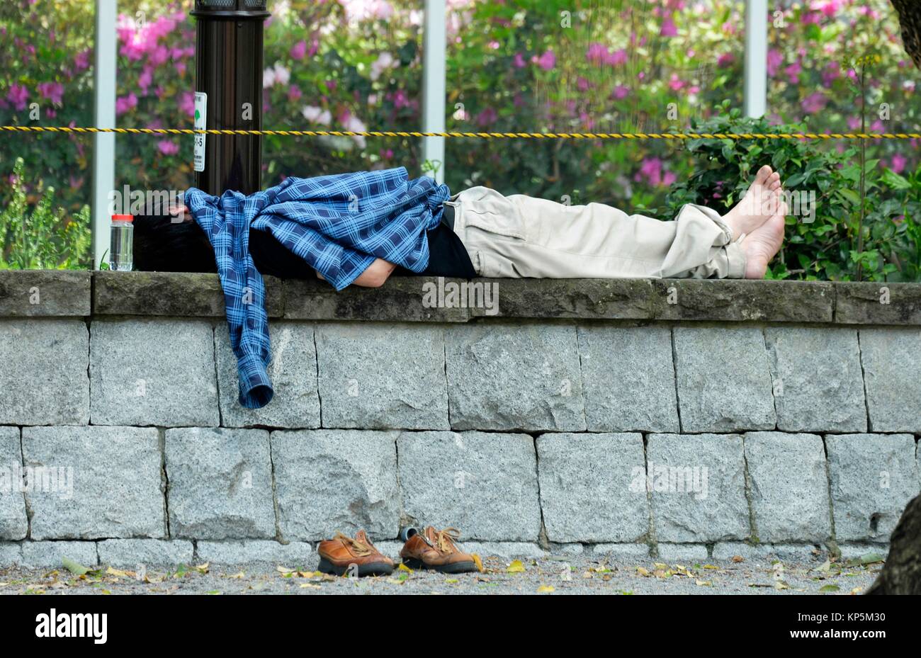 Homeless man sleeping in Ueno park,Tokyo, Japan,Asia. Stock Photo