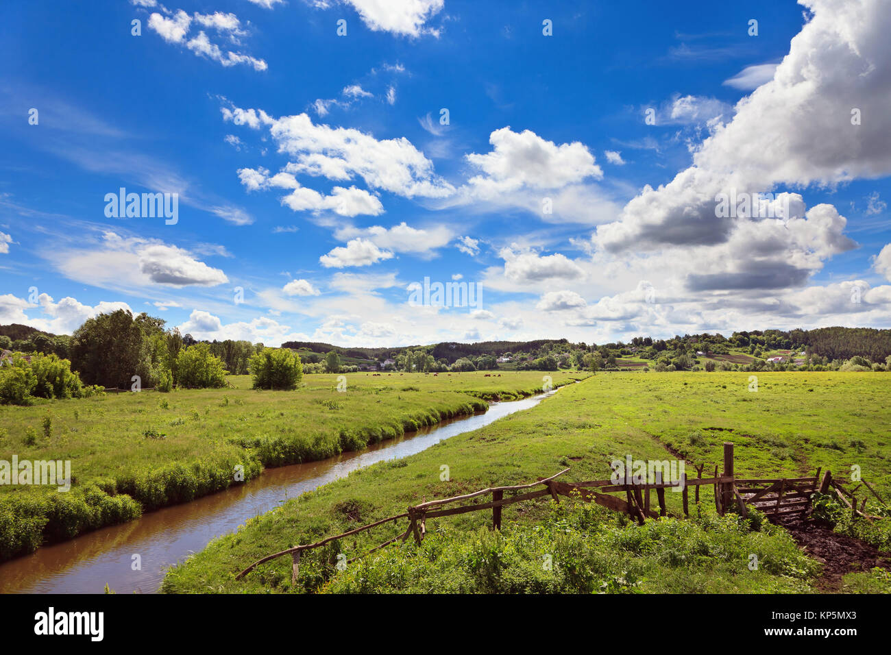 wonderful landscape on the sunny river valley with blue sky and clouds ...
