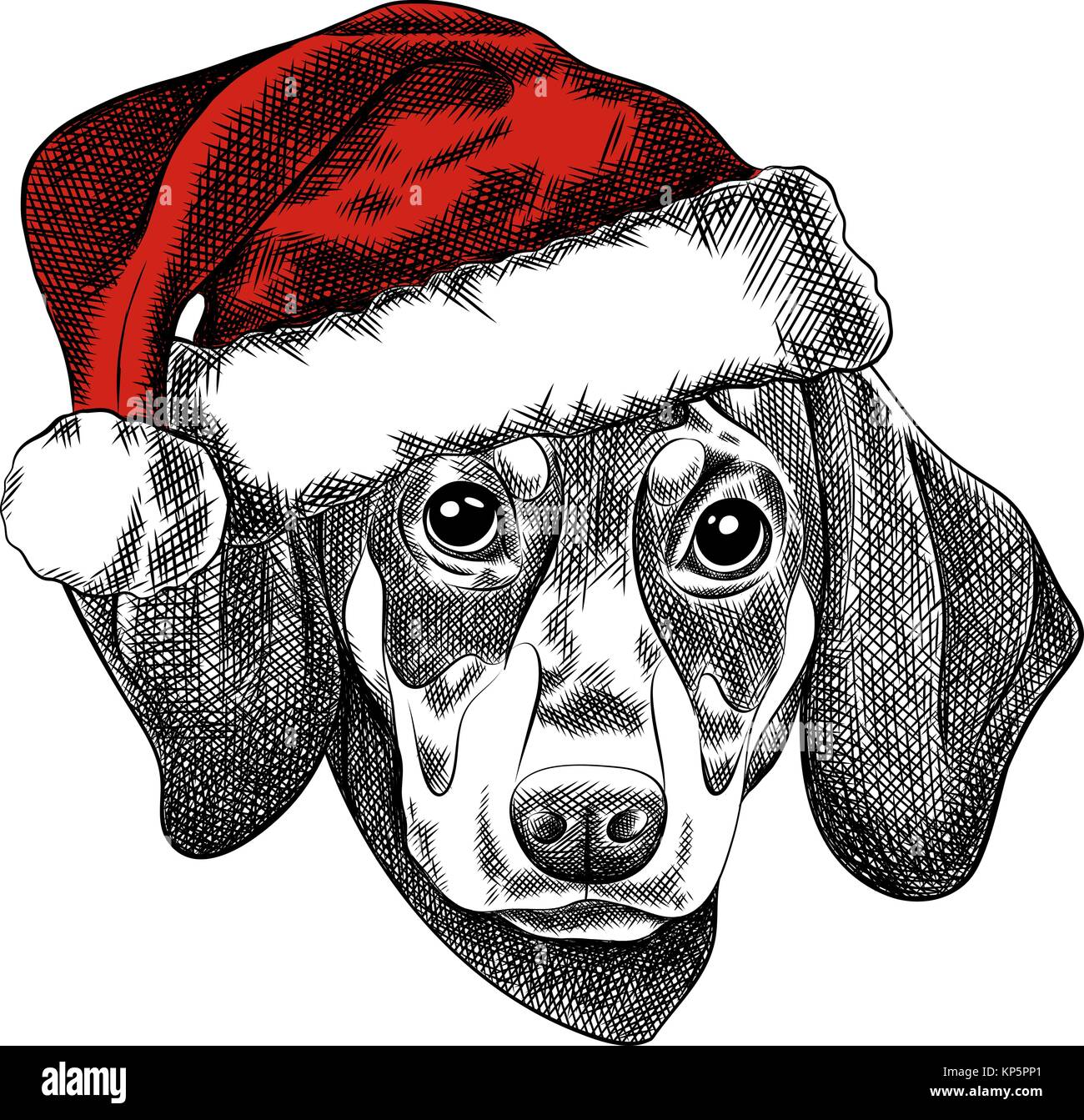 dachshund xmas