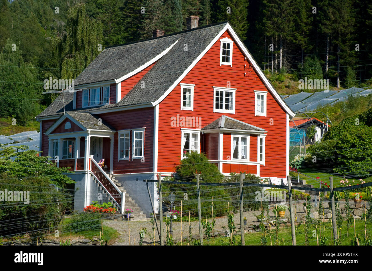 red norwegian house architecture in scandinavia Stock Photo Alamy