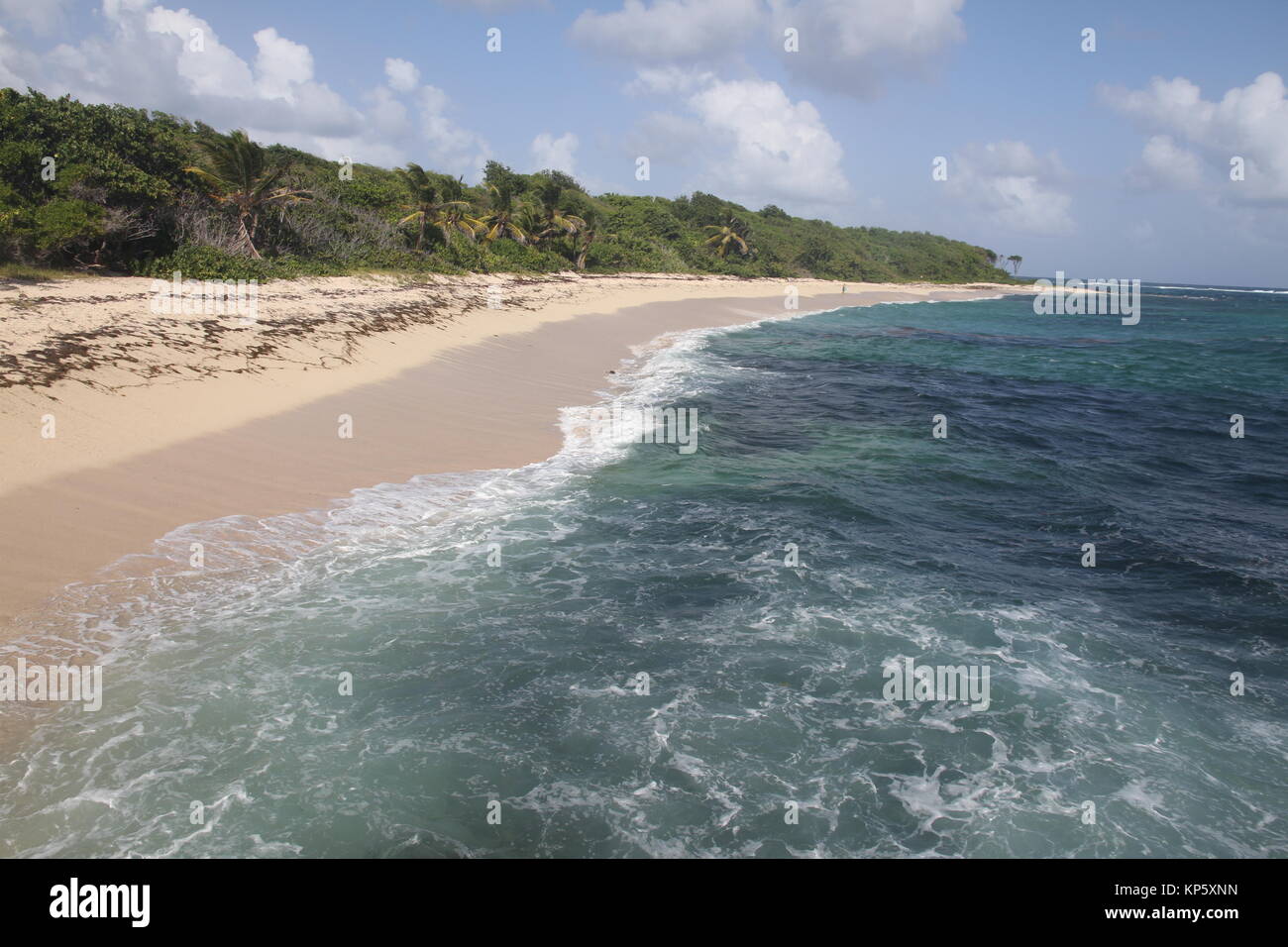 Anse Baleine Martinique FWI Stock Photo Alamy