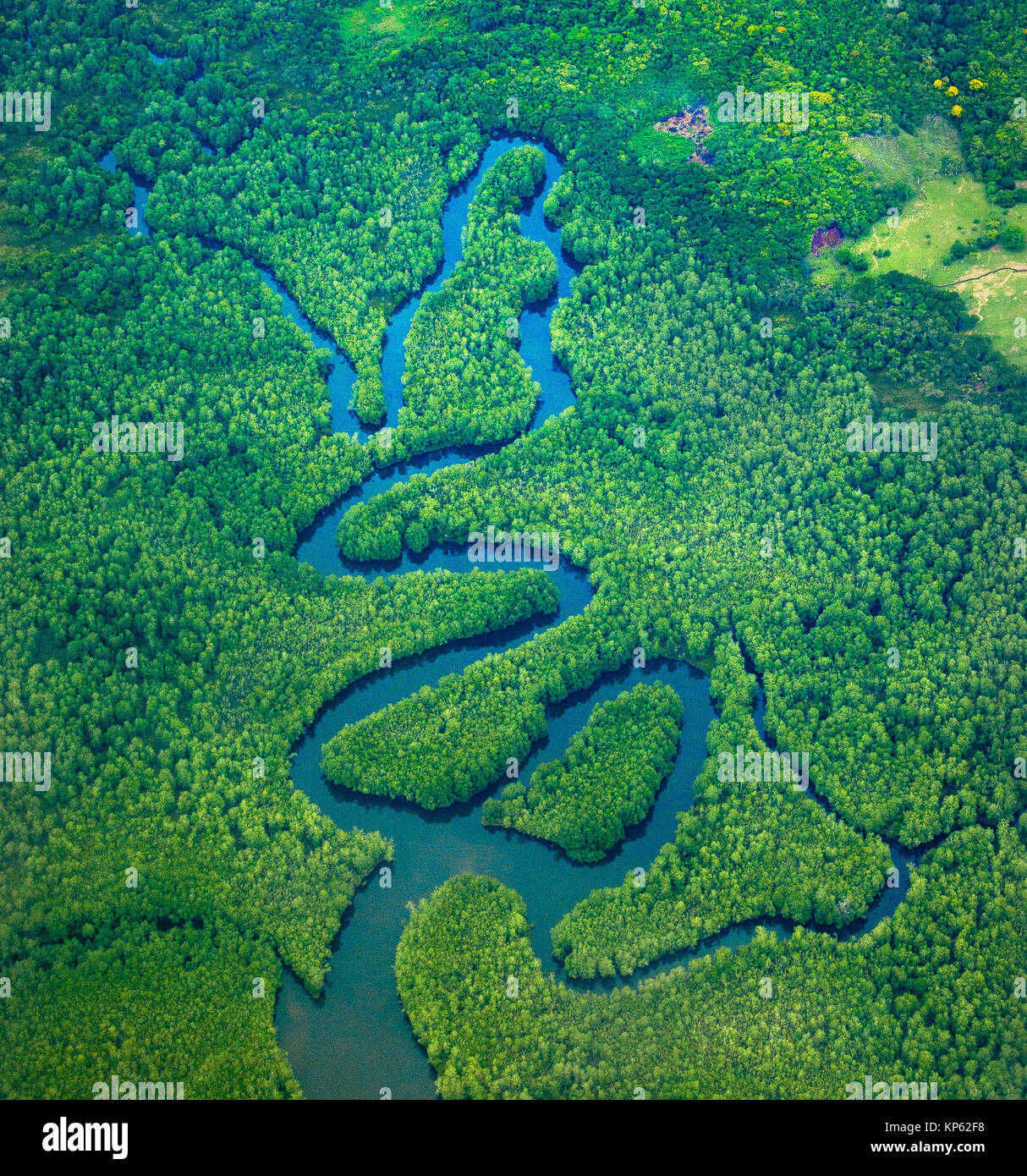 Aerial view of meanders and river capture features in mangrove forest at the delta of the Sierpe River at Terraba Sierpe National Wetland Costa Rica Stock Photo
