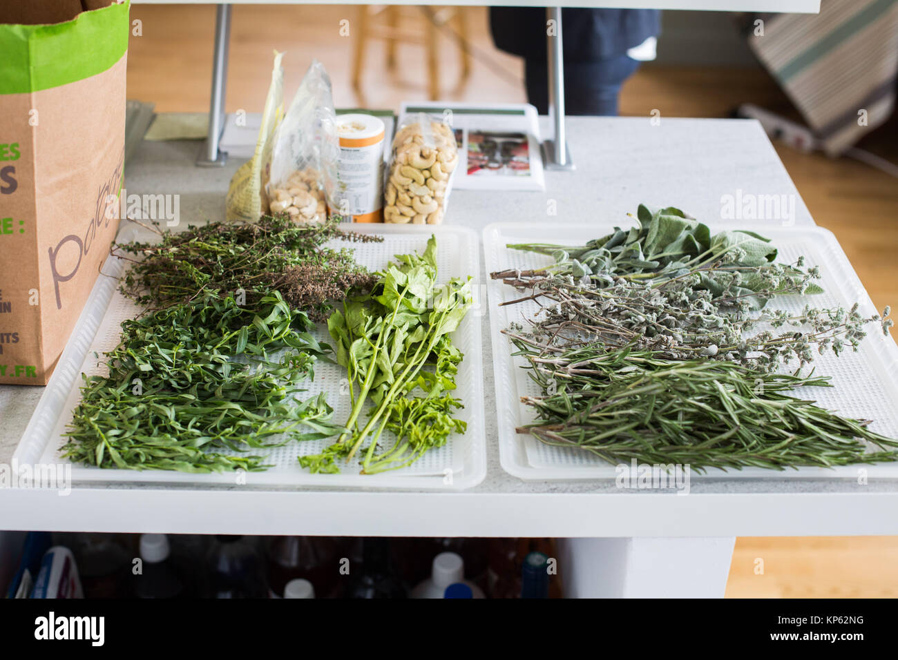 Workshop on the intestine and strengthening of the body's natural abilities through herbalist and a naturopath, France Stock Photo