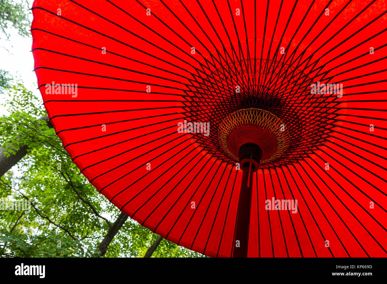 Oriental Umbrella Printable
