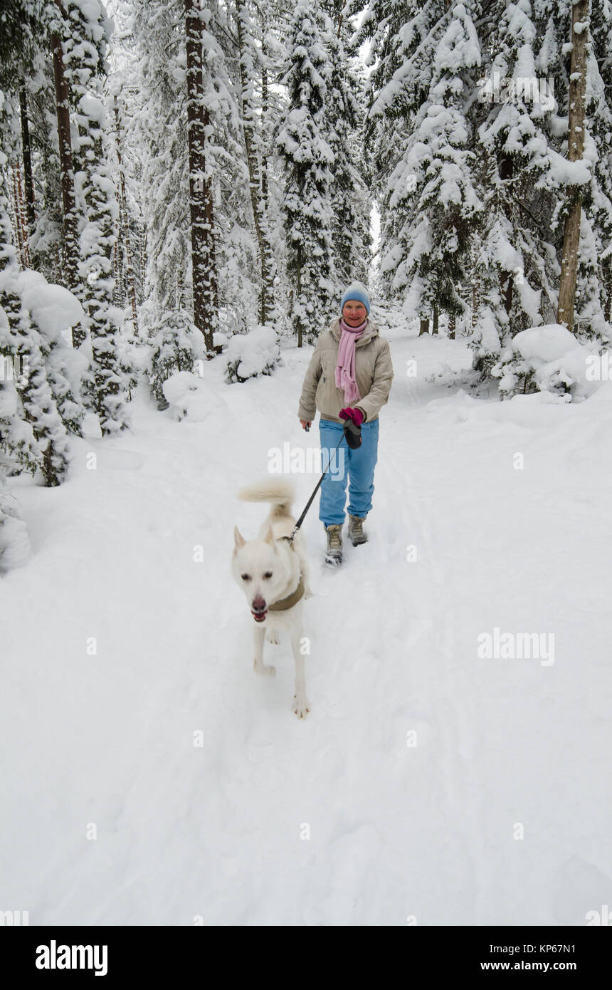 The woman with a dog on walk in a winter wood Stock Photo - Alamy