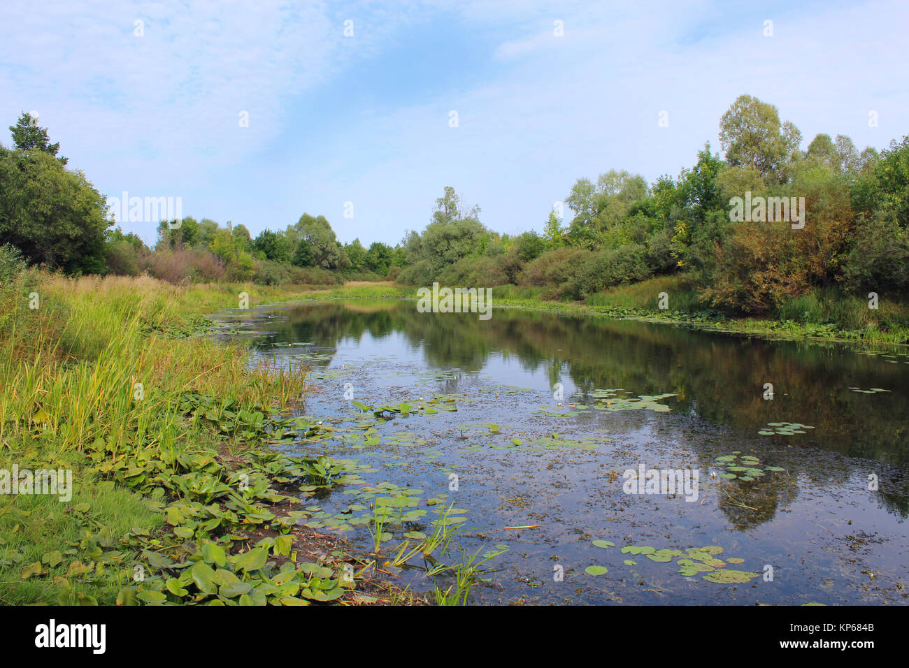 Hemingbrough Pond Picturesque pond with water-lilies Stock Photo - Alamy
