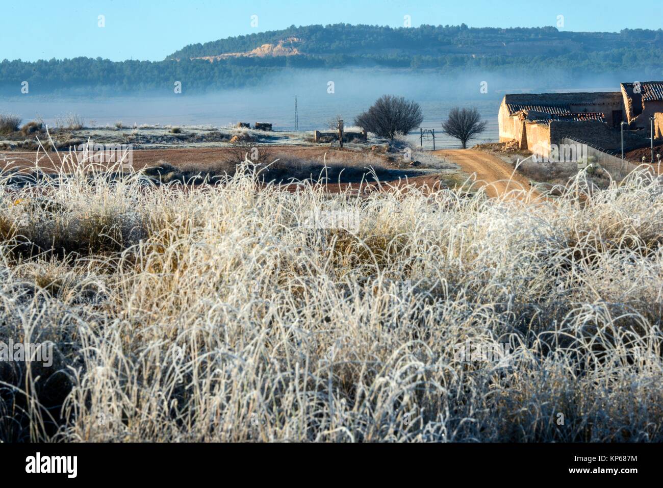 Esparto Grass High Resolution Stock Photography and Images - Alamy