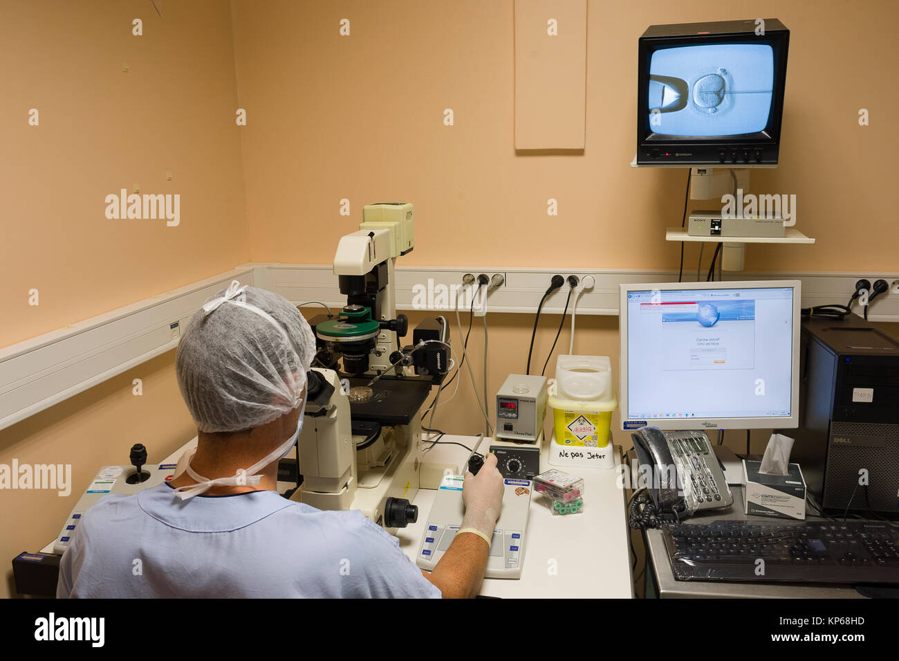 ASSISTED REPRODUCTIVE TECHNOLOGY Stock Photo Alamy