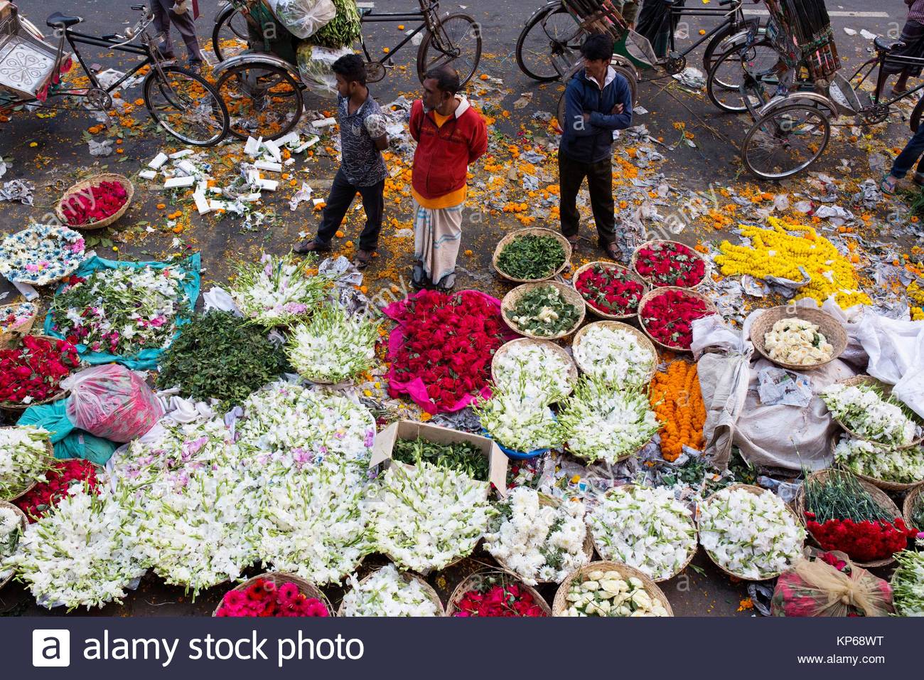 Bangladesh Flower Stock Photos & Bangladesh Flower Stock Images Alamy