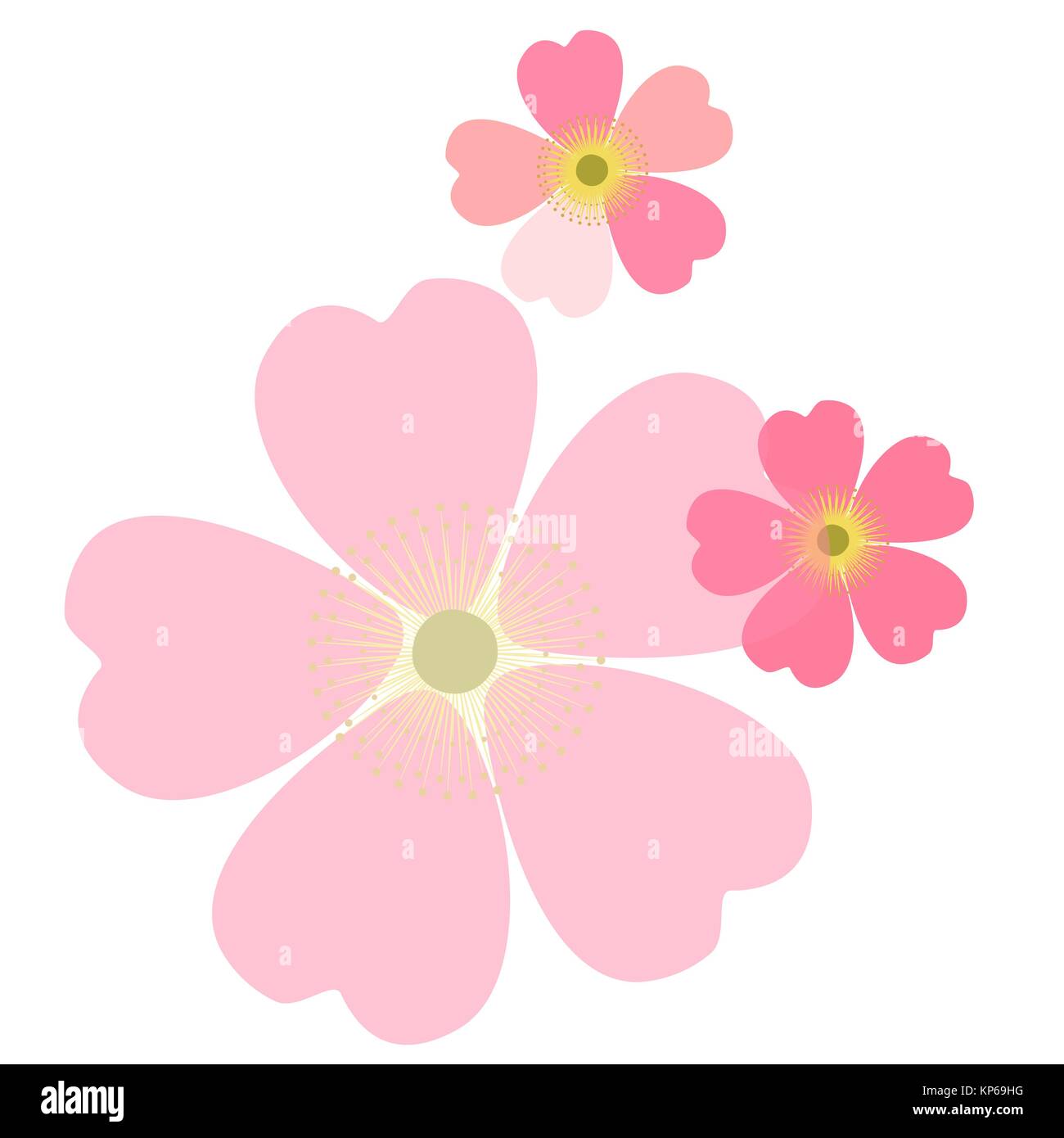 Romantic floral background. Flower. Japanese daisies Stock Vector Image