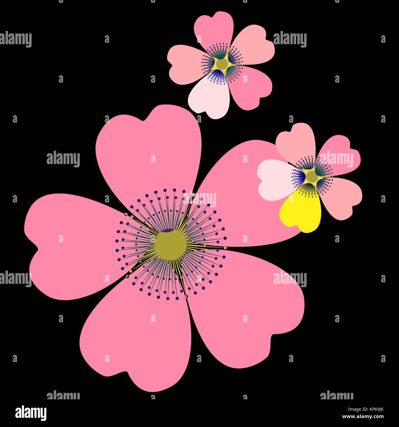 Romantic floral background. Flower. Japanese daisies Stock Vector Image