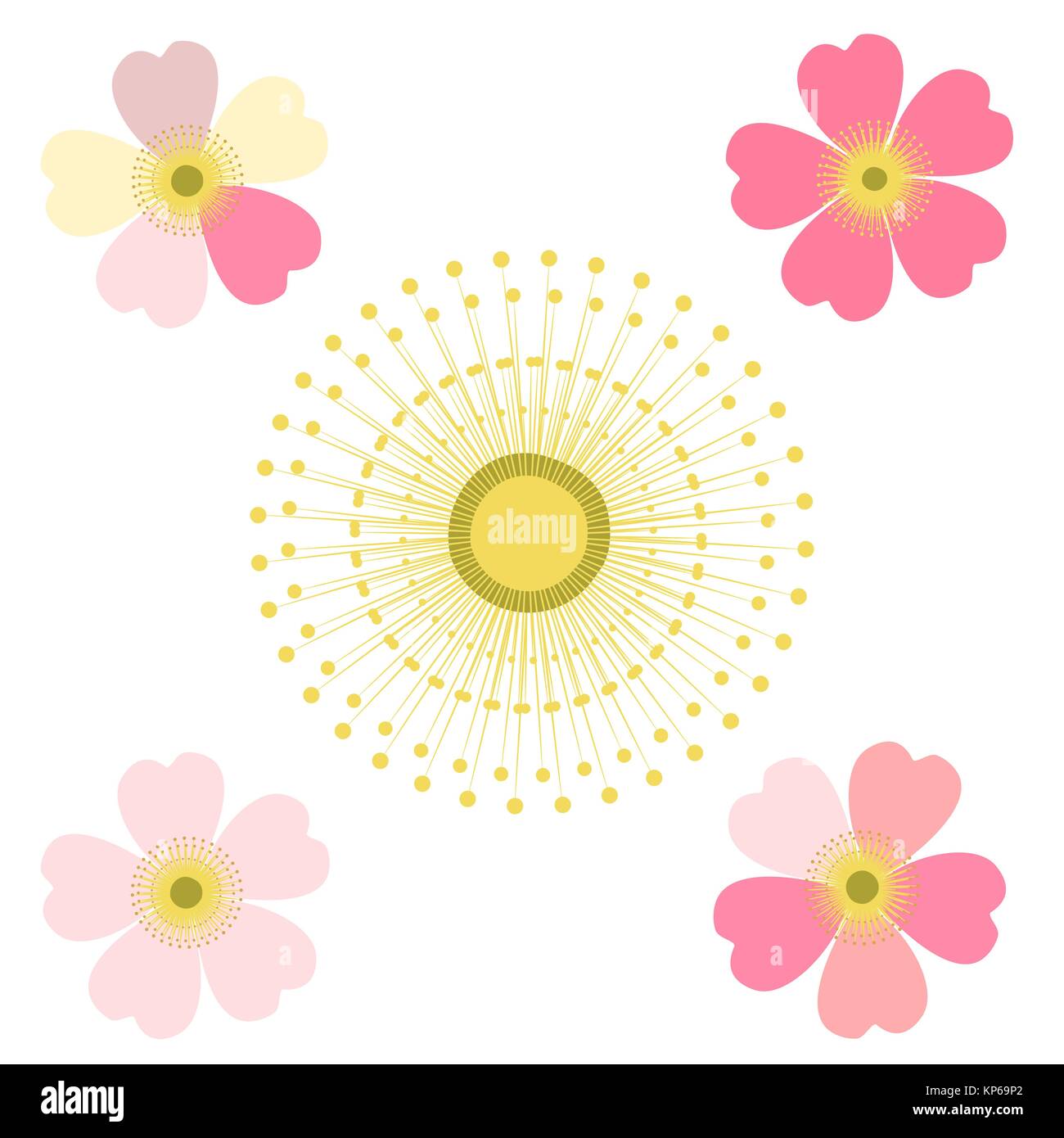 Romantic floral background. Flower. Japanese daisies Stock Vector Image