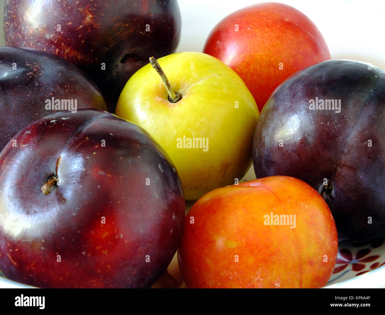 Plum varieties hires stock photography and images Alamy