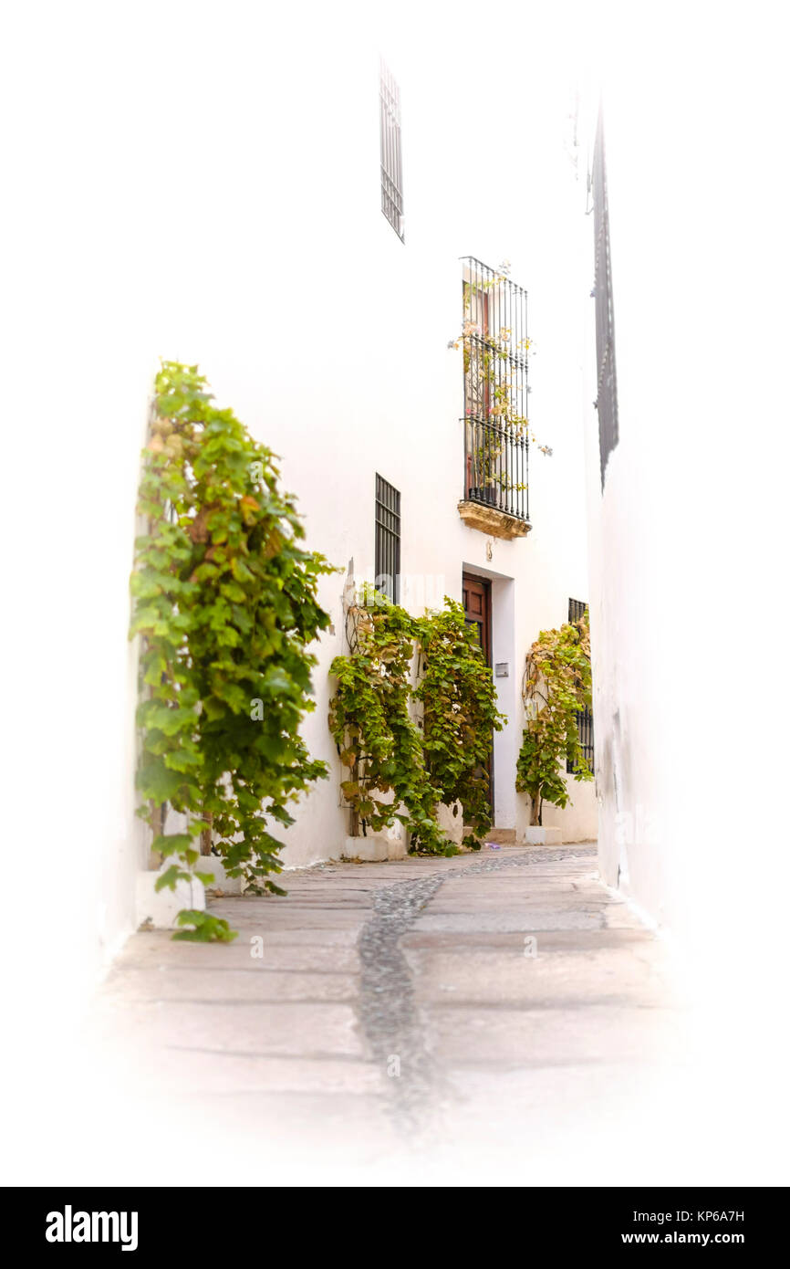 narrow street in an old village in spain with plants decorating the front door, high key Stock Photo